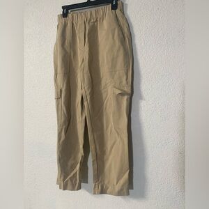 Babaton Aritzia Titan beige Cargo midrise ankle cotton silk blend pants size 8